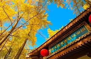 Tang Da Ci'en Temple Site Park
