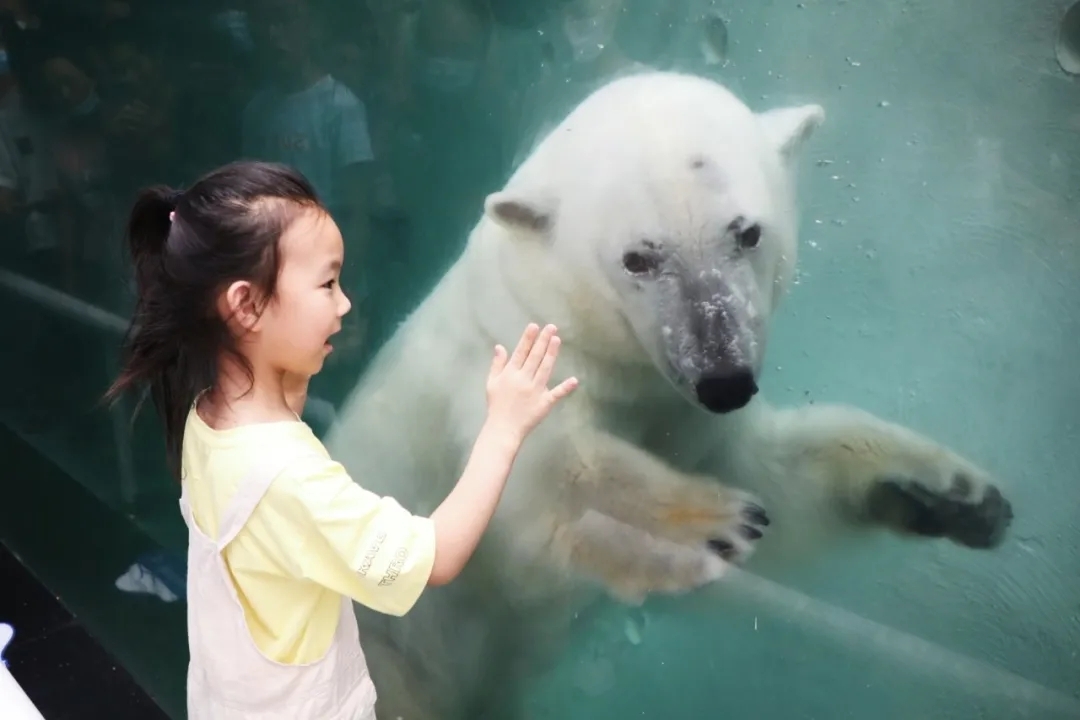 超值丨1大1小僅需258元，還送秦嶺野生動(dòng)物園親子票